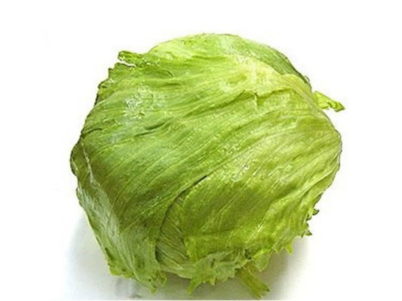 lechuga iceberg ecologica